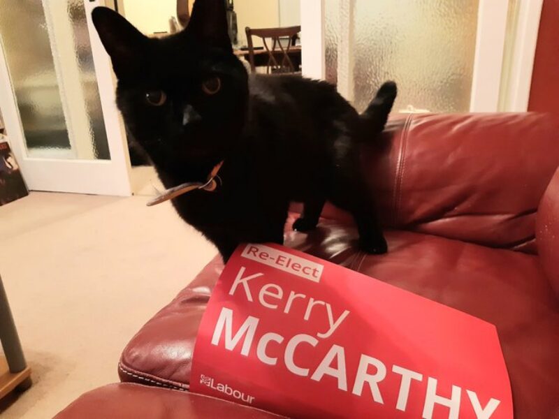 Siddy is looking forward to Labour releasing their meowifesto