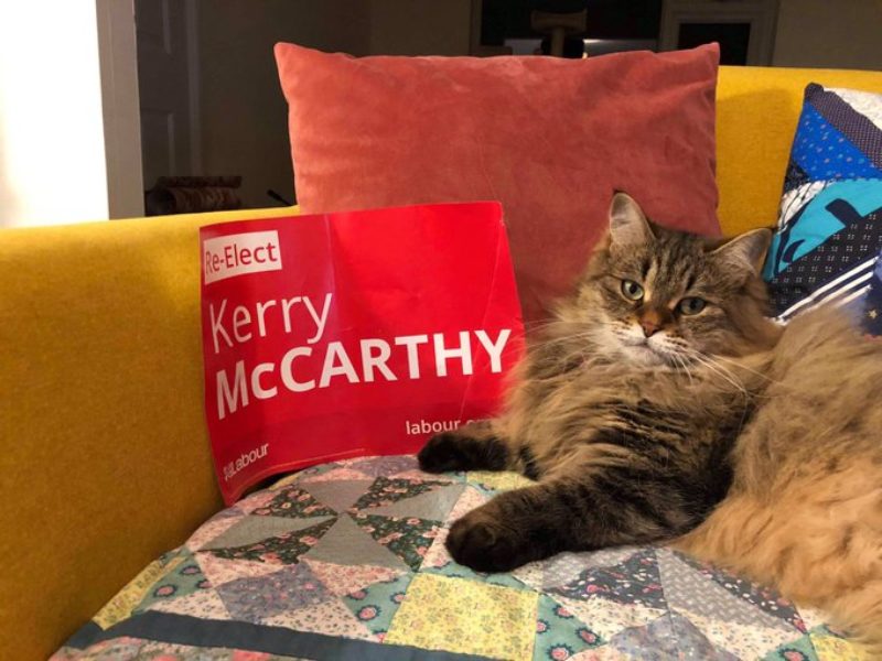 Kerry is honoured to have been endorsed by the infamous Gwen the cat (@Gwenthebabber on Twitter)